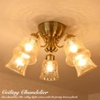 ショッピングシャンデリア シャンデリア リモコン シーリングライト おしゃれ 北欧 黒 照明器具 天井照明 照明 6畳 8畳 アンティーク led リビング ダイニング ペンダントライト