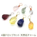 付け替えピアスチャームペンダントト...