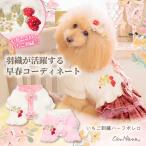 ショッピングいちご ボレロ ハーフ アウター 防寒 犬服 いちご ブランド 小型犬 撮影会 きゃんナナ 服 1176