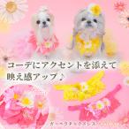 犬 ヘッドドレス アクセサリー リボン アクセ 春 イースター ガーベラ ギフト プレゼント 小型犬 犬服  撮影 きゃんナナ HD-024