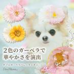犬 アクセサリー 春 角度一定スタンド式 ダブルガーベラバレッタリボン ヘアアクセ イースター ガーベラ ギフト プレゼント 小型犬 撮影 イエロー ピンク LB-299