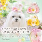 犬 アクセサリー 春 うさ耳バレッタリボン ヘアアクセ うさぎ イースター ガーベラ お花 ギフト プレゼント 小型犬 撮影 イエロー ピンク Sサイズ 04-LB301S