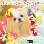 犬 アクセサリー バレッタ リボン いちご ストロベリー レース オーガンジー 春 ギフト プレゼント 小型犬 きゃんナナ LB-330
