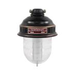 [ лампочка-индикатор проверка settled ] баребон z(BAREBONES) Be система управления светом 