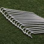  прекрасный товар Snow Peak (snowpeak) дюралюминий колок 20cm15 шт. комплект сопутствующие предметы 