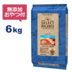 (無添加おやつ&おまけ付き)セレクトバランス グレインフリー アダルトサーモン 小粒 6kg 1才以上の成犬用(パッケージ変更品ジッパー無し)