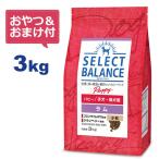 （国産おやつ＆おまけ付き）セレクトバランス パピー ラム 小粒 3kg　子犬・母犬用