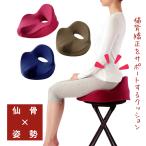 aru факс .. подушка . закон осанка корректирующий таз поддержка .. поддержка кошка . корректирующий таз корректирующий подушка люмбаго предотвращение 