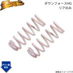 ダウンサス カマロ CF43FK ズーム ダウンフォースHG シボレー 1993/07〜2002/10 3F 3.4L リア