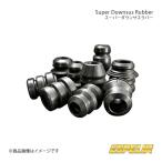 Espelir エスペリア スーパーダウンサ