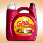 液体洗剤 ゲイン GAIN 4.43Ｌ アップルマンゴー タンゴ 輸入洗剤