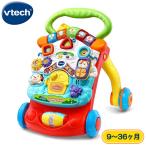 Vtech アクティブウォーカー ヴイテック 手押し車 歩行器 カタカタ 知育 おもちゃ 9ヶ月 3歳 誕生日 クリスマス プレゼント 英語 語学 学習 かわいい カラフル