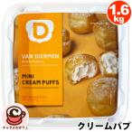  прохладный рейс VAN DIERMEN Mini крем пуховка 1.6kg 55342 шу с кремом маленький колодка колодка лёд рефрижератор сладости закуска конфеты большая вместимость доля ведро затраты ko