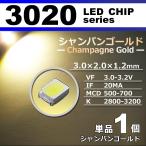 ＬＥＤチップ ３０２�
