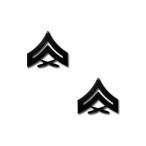 アメリカ海兵隊 下士官 階級章 - 伍長 戦闘服用 米軍 ミリタリーバッジ 2個セット