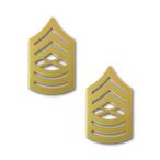アメリカ海兵隊 下士官 階級章 - 曹長（専門職） サービスドレス用 米軍 ミリタリーバッジ 2個セット