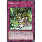 遊戯王カード 星辰の裂角(ノーマルパラレル) ジャスティス・ハンターズ(DBJH) | ドラゴンテイル・ホーン 通常罠 ノーマルパラレル