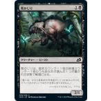 Yahoo! Yahoo!ショッピング(ヤフー ショッピング)MTG マジック：ザ・ギャザリング 靴かじり（コモン） イコリア：巨獣の棲処（IKO-076） | 日本語版 クリーチャー 黒
