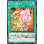 Yahoo! Yahoo!ショッピング(ヤフー ショッピング)遊戯王 星守る結界 ネクストチャレンジャーズ テラナイト