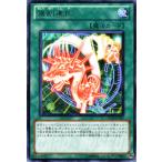 Yahoo! Yahoo!ショッピング(ヤフー ショッピング)遊戯王カード 強制進化 （レア） / オーダー・オブ・カオス（ORCS） / シングルカード