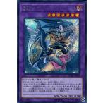 遊戯王カード 竜騎士ブラック・マジシャン・ガール(シークレットレア) レアリティコレクション プレミアムゴールドエディション （RC03） | 融合