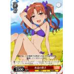 ������������������ �ؽ���ϿII��Ķ�ż�ˤ(����ǥå���&amp;�졼�륬��) / ���դι���