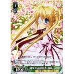 ヴァイスシュヴァルツ Rewrite Harvest festa!(リライト) / “親愛なる探求者”静流