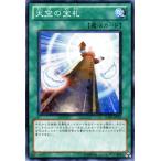 Yahoo! Yahoo!ショッピング(ヤフー ショッピング)遊戯王カード 天空の宝札 / ロスト・サンクチュアリ（SD20） / シングルカード