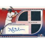 ニッキー・デルモニコ MLBカード Nicky Delmonico 2010 Topps USA Triple Jersey Autographs 074/219