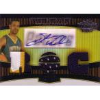 ショーン・ウィリアムス NBAカード Shawne Williams 06/07 Topps Triple Threads Rookie Patch Auto 14/25