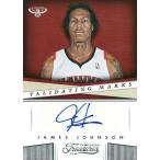 ジェームス・ジョンソン NBAカード James Johnson 13/14 Timeless Treasures Validating Marks
