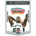 デビッド・ロビンソン 2012-13 Panini Past &amp; Present Winning Touch Banners David Robinson