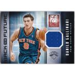 ダニーロ・ガリナリ 2013/14 Panini Elite Back to the Future Jersey Danilo Gallinari