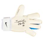 ジュリオ・セザル 直筆サイン入りNIKEゴールキーパーグローブ （Julio Cesar Signed Blue Nike Vapor 3 Grip Goalkeeper Glove）