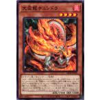 天盃龍チュンドラの画像