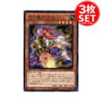 �y3���zMACR-JP027 �\��b�N�b�N�� (�m�[�}��)���� �V�Y��