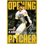 カルビー2025 プロ野球チップス 第二