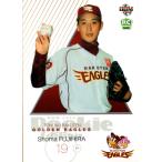 BBM2017 ベースボールカード ルー