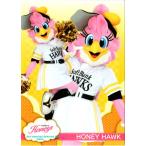 BBM2021 プロ野球チアリーダーカード-華- レギュラーカード No.華01 HONEY HAWK (H)