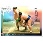 BBM2021 大相撲カード「匠」 レギュラーカード No.65 照強翔輝