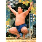 BBM2022 大相撲カード レギュラー