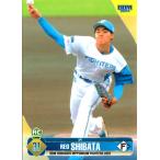 安い柴田獅子の通販商品を比較 | ショッピング情報のオークファン