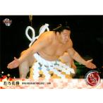 BBM2019 SPORTS TRADING CARDS 平成 レギュラーカード No.31 若乃花勝