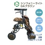  симфония свет GA Brown ( Aichi, Gifu префектура ограниченная продажа )