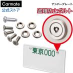 ナンバープレート ボルト 特殊形状 錆に強い ステンレス製 カーメイト LS422 セキュリティボルト フラット 2 ナンバープレートの盗難防止に最適 (R80)(P05)