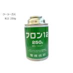 エアコンガス 冷媒用 R12 250g缶 カー