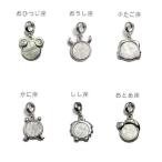 星座 １２星座 ペンダント ギベオン 隕