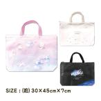 レッスンバッグ 横幅少し大きめ 男の子 女の子 ポリエステル 小学校 幼稚園 通園 入園 入学 学童 習い事 カミオ メール便