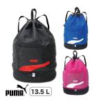 ショッピングビーチバッグ プーマ プールバッグ ２層タイプ 男の子 女の子 2ルーム PUMA 2段 送料無料 079042 スイミング プール 水泳 小学生 メール便