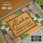  наружный коврик перед дверью niu коврик HIBISCUS 45×65 cm грязь сбрасывание снег сбрасывание терраса дверь здесь cocos nucifera коврик ... предотвращение скольжения Hawaiian Гаваи интерьер бесплатная доставка 
